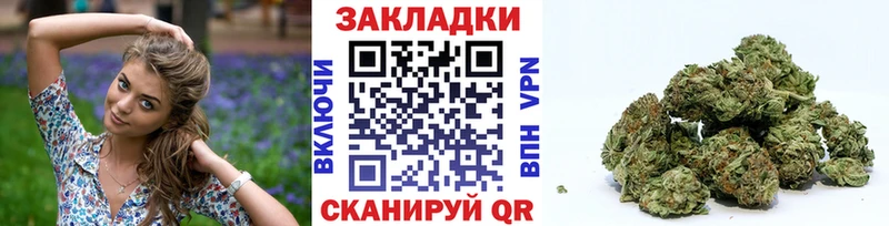 Где купить Новосибирск Псилоцибиновые грибы  Кокаин  Мефедрон  Бошки Шишки  Гашиш 