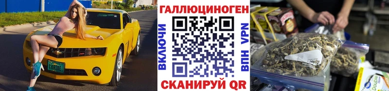 Галлюциногенные грибы Psilocybine cubensis  Новосибирск 