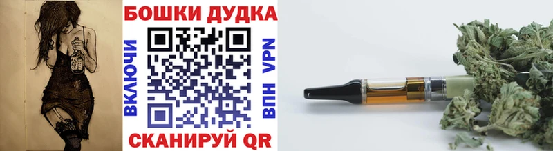 Шишки марихуана Amnesia  omg как зайти  Новосибирск 